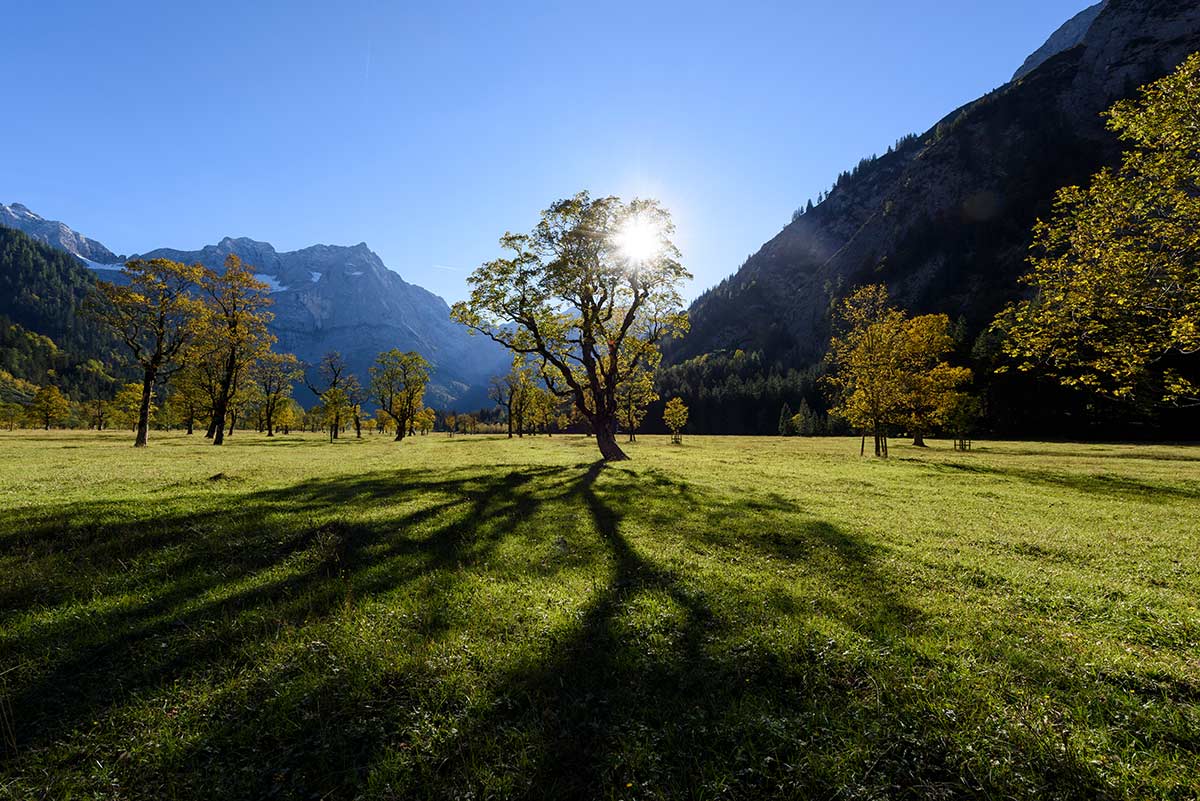 Großer Ahornboden im nördlichen Karwendel, Foto: DAV/Wolfgang Ehn
