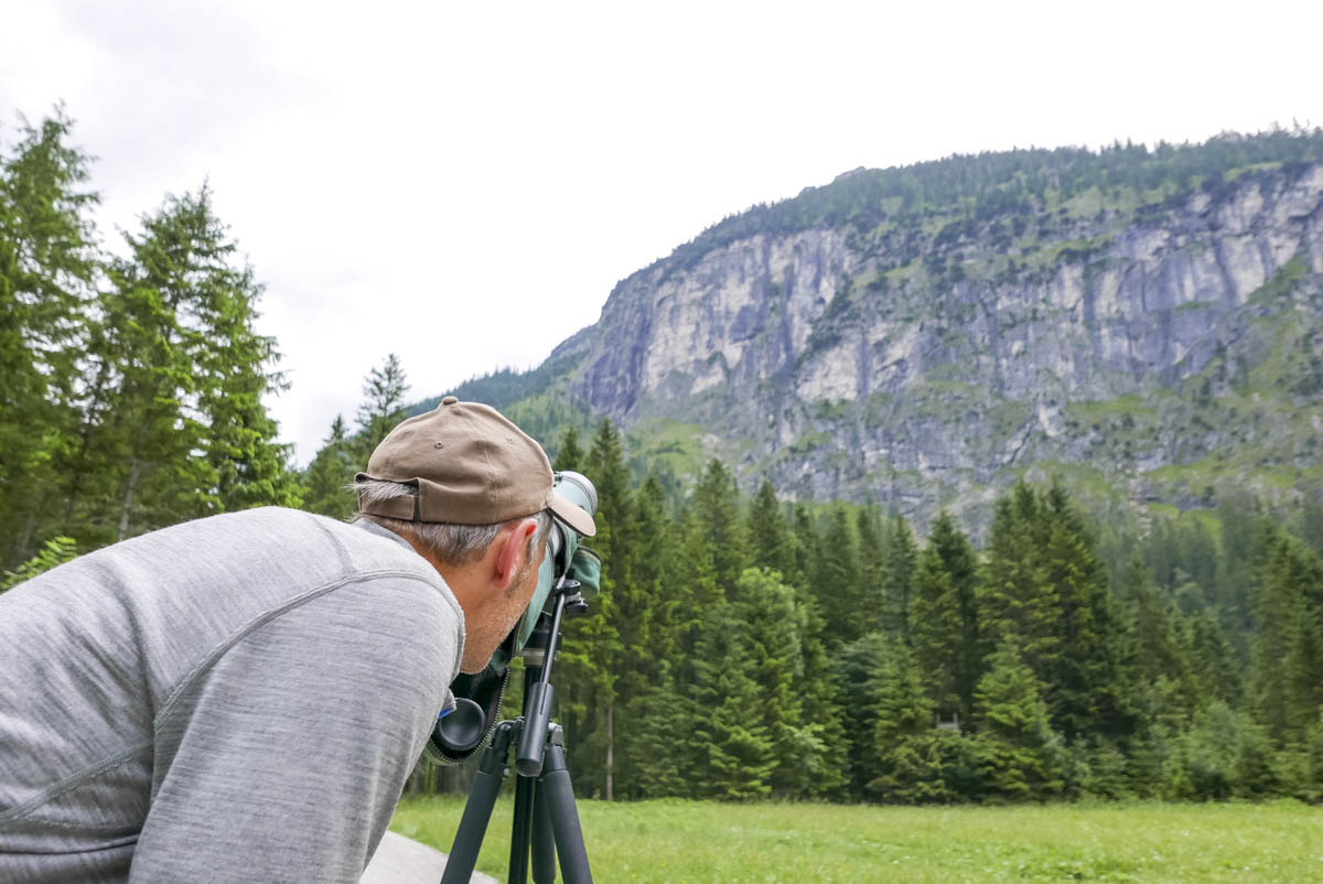 Steinadler beobachten in den Ammergauer Alpen, Foto: Nadine Ormo 