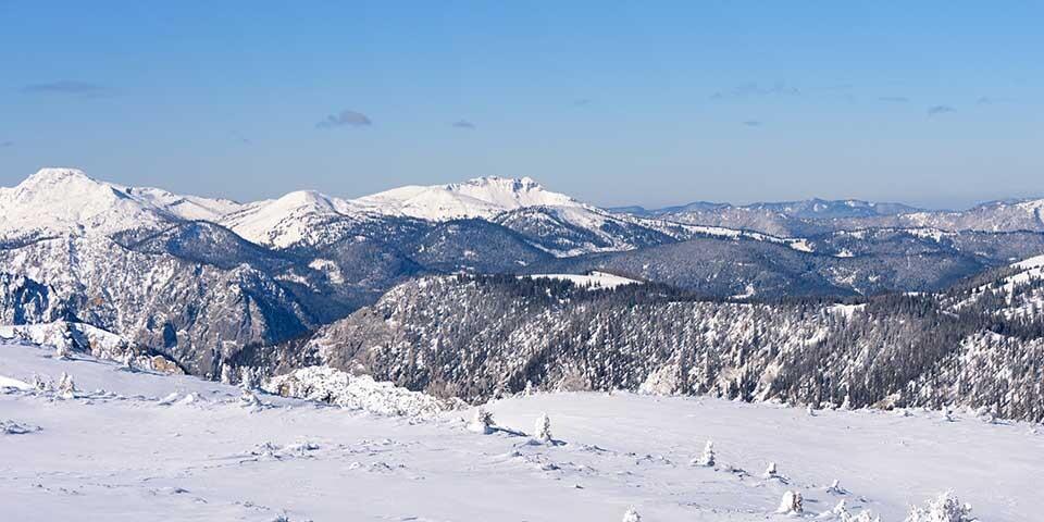 Die Skitouren im Mariazeller Land (hier Aflenzer Staritzen) gehen gerade mal etwas über die Waldgrenze hinaus. Foto: Folkert Lenz