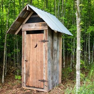 Meist ist kein Toilettenhäusen da, wenn man eins braucht, Foto: pixabay (back_road_rambler)
