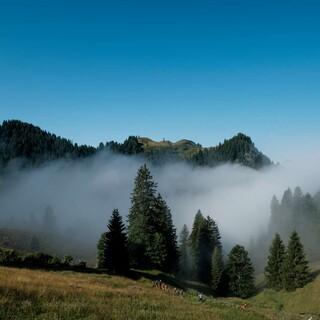Im bayerischen LEP geht es auch um die Entwicklung im Alpenraum. Foto: DAV/Hans Herbig