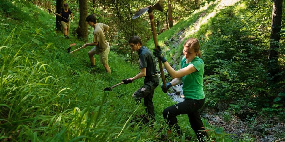 Freiwillige der Aktion Schutzwald. Foto: Arvid Uhlig