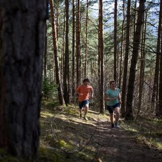 Trailrunning – im Laufschritt auf den Berg, Foto: DAV/Wolfgang Ehn 