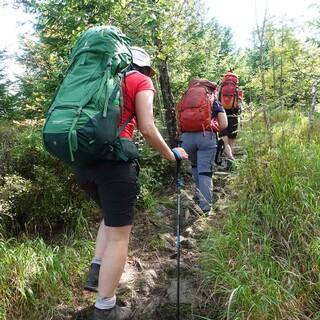 Durch das endlose Grün des Bayerischen Waldes zieht es die Trekkinggruppe. Foto: Sascha Mache