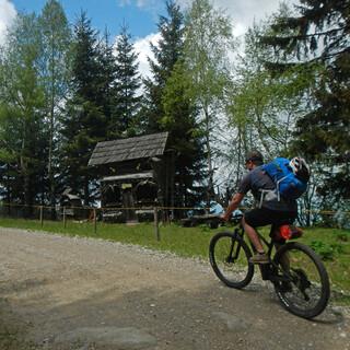 Mountainbiken-Pohorje-Silvia-Schmid-(3)