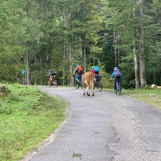 Jugendgruppe mit dem Fahrrad im Wald. Foto: JDAV Bad Aibling/ Eva Wissing