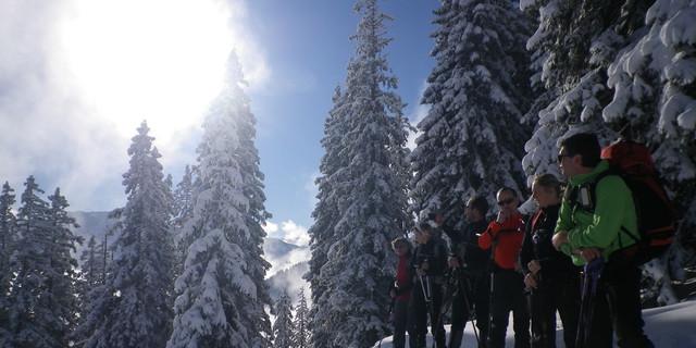 Der Traum aller Schneeschuhbergsteiger: Schnee, Sonne, schneebedeckte Bäume und nette Leute in der Gruppe. Foto: Thomas Krobbach