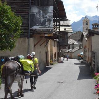 Viele Häuser in Saint Véran stammen aus dem 19. Jahrhundert. Mit Esel passen wir hier gut hinein. Foto: Solveig Michelsen