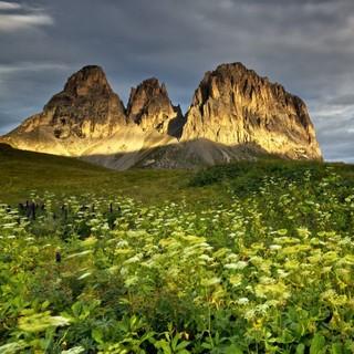 "Dolomitesvives" soll helfen, das UNESCO Welterbe zu schützen, Foto: Val Gardena, Matteo Zanvettor
