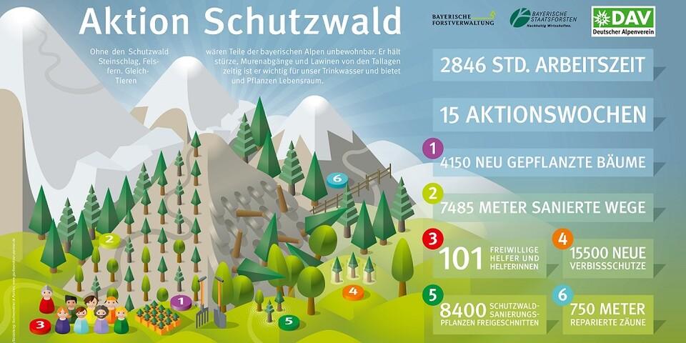 DAV Aktion Schutzwald Infografik Auswertung 2022