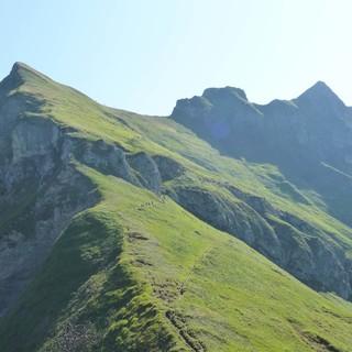 Die Abstiegsoption über den Laufbacher-Eck-Weg nach Oberstdorf verlängert die Hüttentour um einen Tag und bringt viele neue Eindrücke in die Oberstdorfer Bergwelt. Foto: Gaby Funk
