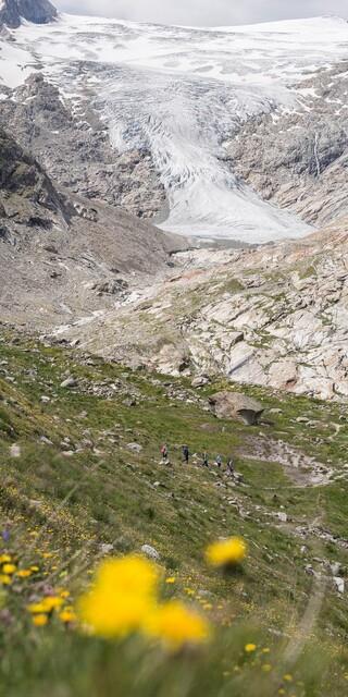 Der Klimawandel in den Alpen sorgt unter anderem dafür, dass Gletscher sich zurückziehen. Foto: Jens Klatt