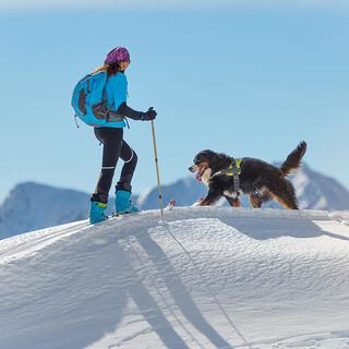 Skitour-mit-Hund-AdobeStock-c