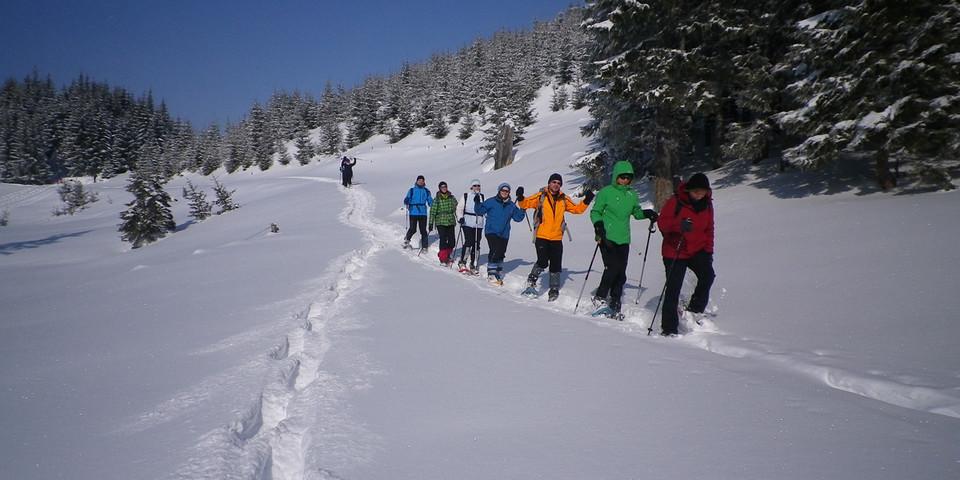 Am Wiesler Berg oberhalb von Zöblen finden sich oft gute Schneebedingungen vor allem für leichte Übungstouren. Foto: Thomas Krobbach