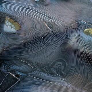 Jahresringe? Nein, Froststrukturen auf knapp 3000 Metern Höhe, Foto: Stefan Neuhauser