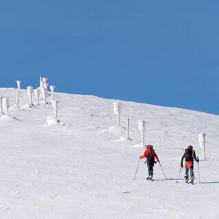 Bei schlechter Sicht lebensrettend: die Pfahlmarkierungen vor dem Gipfel der Heukuppe (Rax). Foto: Folkert Lenz
