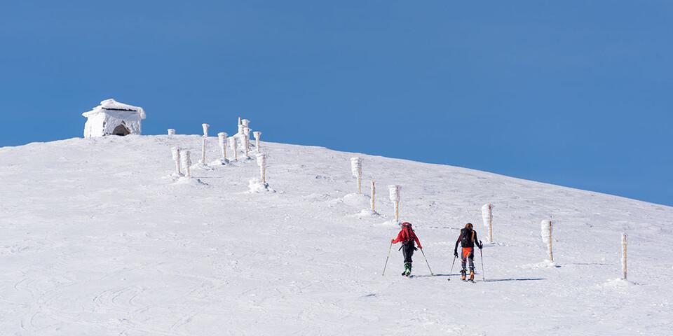 Bei schlechter Sicht lebensrettend: die Pfahlmarkierungen vor dem Gipfel der Heukuppe (Rax). Foto: Folkert Lenz