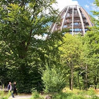 Im Besucherzentrum “Hans-Eisenmann-Haus” in Neuschönau führt der Baumwipfelpfad mit seinem eiförmigen Aussichtsturm in die Höhe. Foto: Joachim Chwaszcza