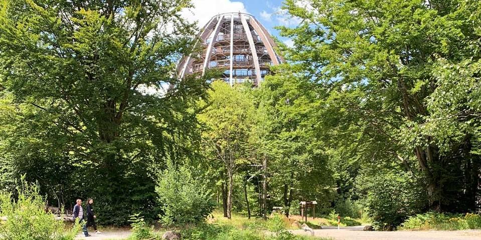 Im Besucherzentrum “Hans-Eisenmann-Haus” in Neuschönau führt der Baumwipfelpfad mit seinem eiförmigen Aussichtsturm in die Höhe. Foto: Joachim Chwaszcza