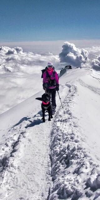 Beim Aufstieg zum Allalinhorn (4027 m). Foto: Shawnee Catori