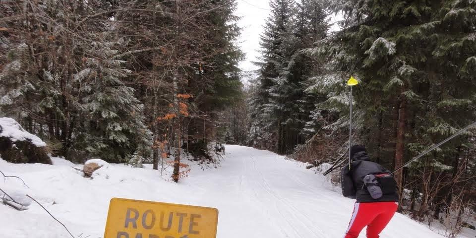 Route Barrée! - "Strecke gesperrt!" - Solche Schilder sollte man auch als Langläufer ernst nehmen.&nbsp;Sonst kann es sein, dass der flotte Downhill unvermittelt in einer Waldbaustelle schmerzhaft endet.