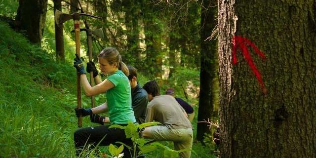 Seit fast 30 Jahren engagiert sich der DAV mit der Aktion Schutzwald für den Erhalt der Bergwälder. Foto: DAV/Arvid Uhlig