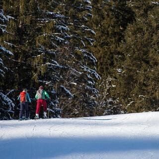 Auch wo Skitouren auf Pisten erlaubt sind, gilt es einige Regeln zu beachten. Foto: DAV/Marco Kost