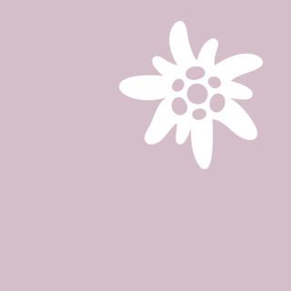 Homepage-Teaser-Edelweiss-auf-violett