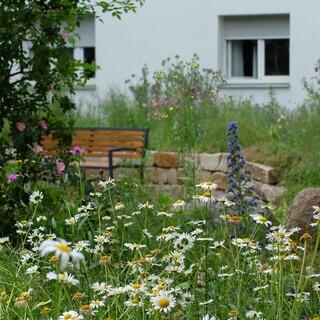 naturgarten-aus-projekt-treffpunkt-vielfalt-berlin-britz c-stiftung-fuer-mensch-und-umwelt