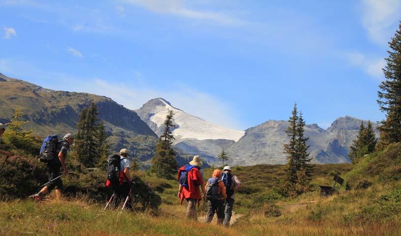 Zur Läntalhütte - Wanderfreuden: Über weiche Wiesen schlendert die Gruppe vom Valsertal in Richtung Läntahütte