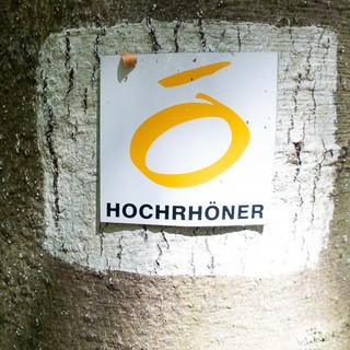 Der Hochrhöner-Fernwanderweg wird vom Rhönclub zuverlässig gewartet. Foto: Christof Herrmann