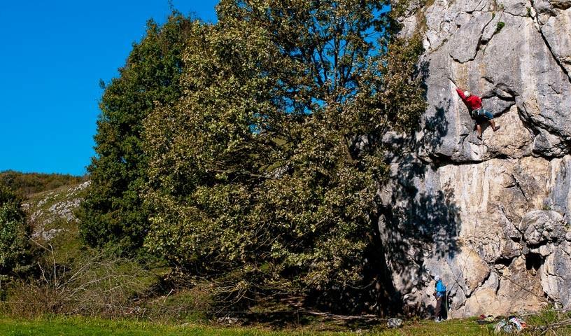 Bachfels - Aus der grünen Wiese: Gemütliches Ambiente und tollen Fels bietet der Bachfels im Eselsburger Tal. Fritz Miller darf in der „Mittleren Tour“ (VIII-) trotzdem etwas fester zugreifen.