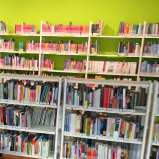 Access to many books via the DAV libraries. (c) DAV