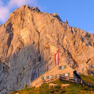 So viel steiler Fels: Die Dachstein-Südwandhütte duckt sich drunter weg. Foto: Iris Kürschner