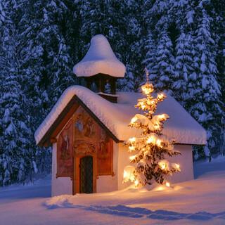 Weihnachten-Winter-Schnee-Lichter-AdobeStock-web