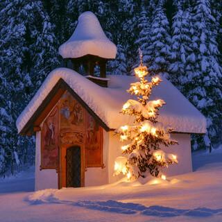 Weihnachten-Winter-Schnee-Lichter-AdobeStock-web