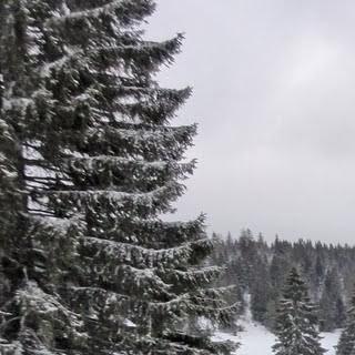 Am Mont d'Or - <p>Am Mont d'Or zweigt an der Alm Petite Echelle (kleine Leiter) die schweizer Variante des TJS vom französischen Hauptweg GTJ ab. Die Alphütte ist sogar im Winter bewirtschaftet.</p>