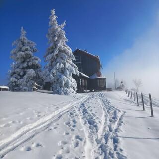 Im Winter wie im Sommer beliebt - Dei Julius-Seitner-Hütte. Foto: Romi Holzinger