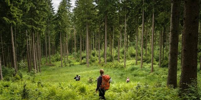 Aktion Schutzwald - Frei nach Caspar David Friedrich "Wanderin über dem Schutzwald", Foto: DAV/Arvid Uhlig