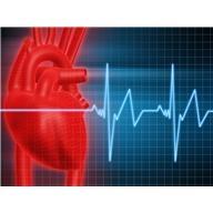 Bluthochdruck oder Diabetes erhöhen die Wahrscheinlichkeit, an Plötzlichem Herztod zu sterben. 