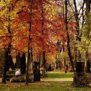 Der alte Nordfriedhof in München gilt als geschützter Landschaftsbestandteil. Foto: AdobeStock