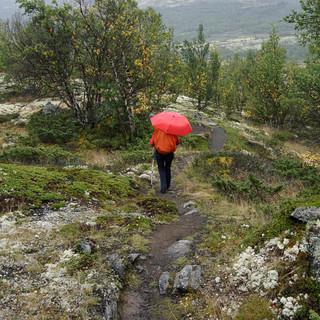 Nicht immer ist das Wetter sonnig – mitunter begleitet Regen den Olavsweg. Foto: Joachim Chwaszcza