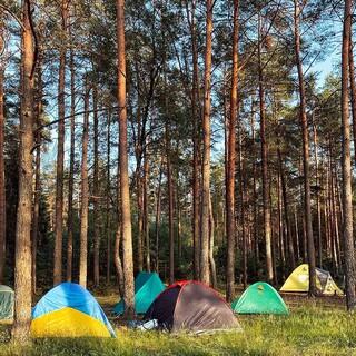 Bunte Zelten stehen verteilt im Wald  Foto: Olga Budko/ unsplash
