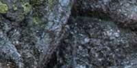 <p>Füttern unerwünscht: Murmeltiere haben weder Interesse noch Verständnis für Steilwand-Abenteuer.</p>

<p>Foto: Ralf Gantzhorn</p>