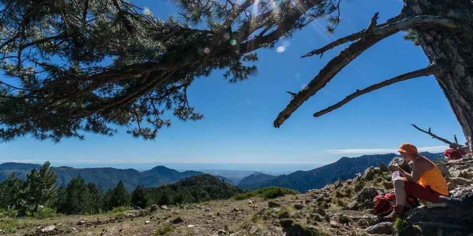 Pause könnte nicht schönes sein. Unter der schattenspendenden alten Kiefer schweift der Blick über die gewaltige Bergwelt Korsikas vom Monte Incudine bis zum Monte Renoso.