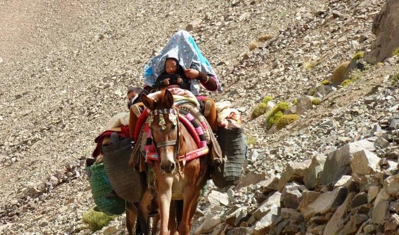 Berberfamilie - Wo Mobilität mühsam ist: Berberfamilie im Burka-Blindflug unterwegs