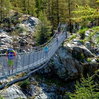 Eine Hängebrücke überwindet den engen Schlund auf dem Gletschergartenweg. Foto: Iris Kürschner/powerpress