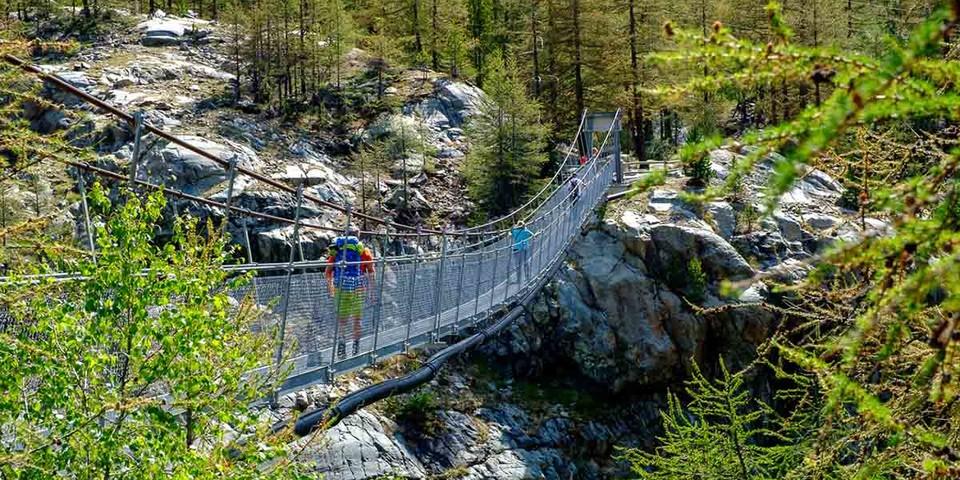 Eine Hängebrücke überwindet den engen Schlund auf dem Gletschergartenweg. Foto: Iris Kürschner/powerpress