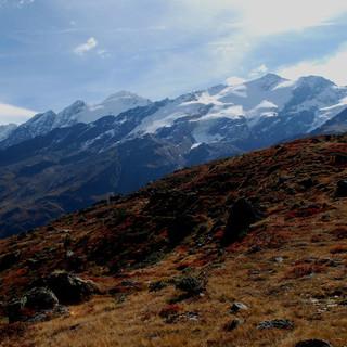 Die Gletscherwelt des Langtauferer Tals steht im Fokus der Skierschließer. (Foto: AVS)