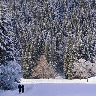 Winterspaziergang in den Bergen. Foto: Pixabay/shogun